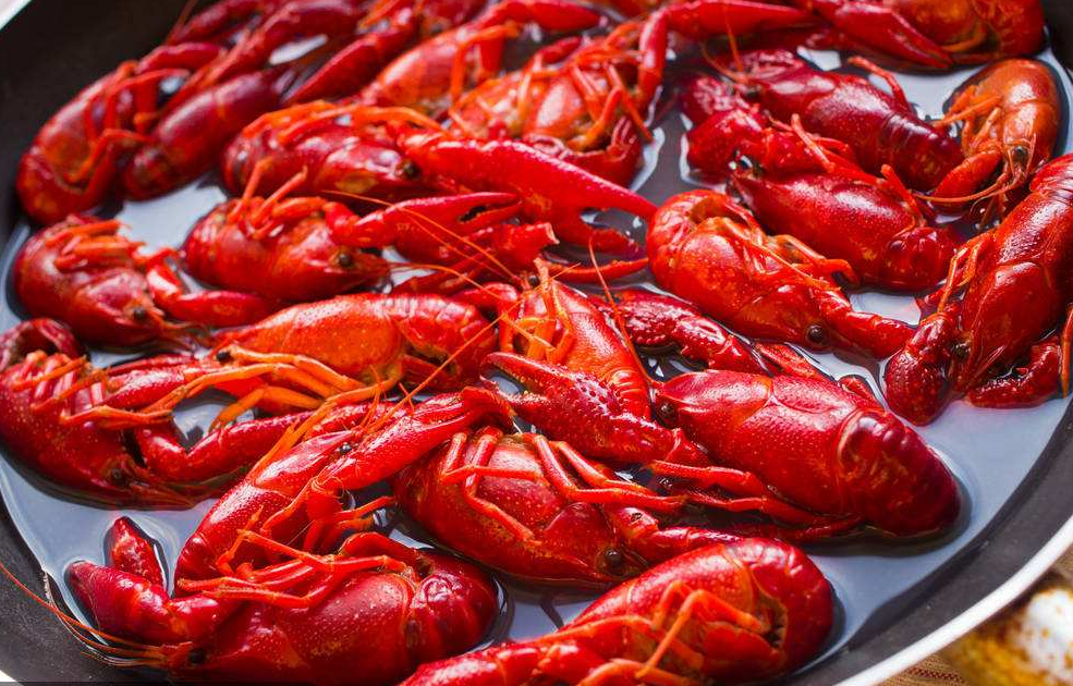 鹵煮小龍蝦培訓