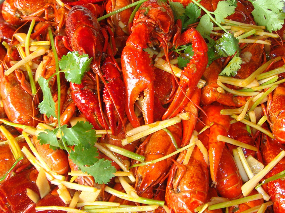 香辣小龍蝦培訓菜品展示1